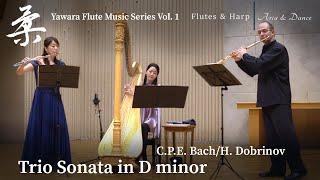 C.Ph.Em.Bach (Arr.H Dobrinov) Trio sonata in d-moll