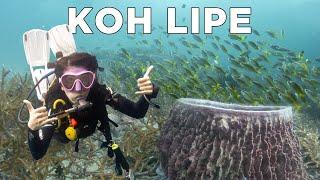 Scuba Diving in Koh Lipe: Thailand's Best Diving Spots