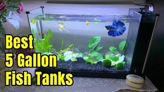 Best 5 Gallon Fish Tanks | Setup ideas & Review