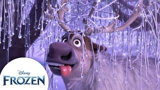 Sven's Silliest Moments | Frozen