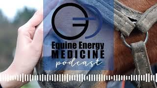 Equine Energy Medicine - Magnesium Oxide or Magnesium Glycinate