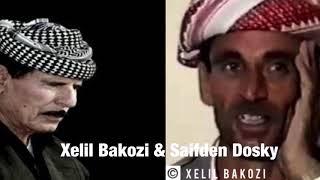 Xelil Bakozi & Saifden Dosky