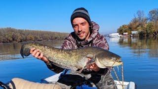 Dzigovanje Reka Sava×#catfish #zander #jigging