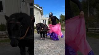 How I put on my unicorn costume #horse #creator #shortsvideo