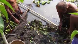 Discover Bangladesh - Village Life