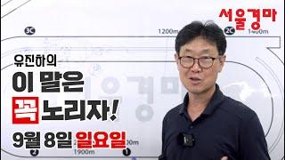 유진하의 이 말은 꼭 노리자!(2024년 9월 8일 일요일)