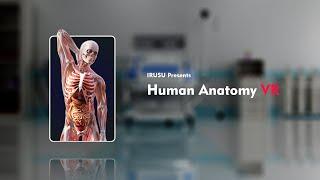 Human Anatomy 4D Preview in mixed reality, virtual reality and agumented reality