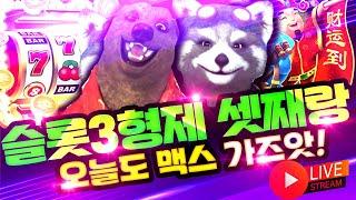 [슬롯 실시간] 슬롯3형제와 함께하는 슬롯 부시기! 잭팟가즈아~ #슬롯머신 #슬롯 #프라그마틱 #잭팟 #slot #pragmatic