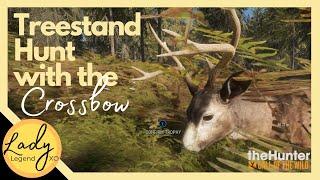 Treestand Hunt with the Crossbow! - Hunter: Call of the Wild