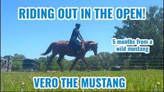 Riding Out in the Open - 5 Months From Wild | Vero 9