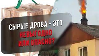 В чем опасность сырых дров? Где брать сухие дрова? Чем топить камин?