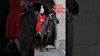 THE ADORABLE KINGS HORSE'S  NEIGH...AT HORSE GUARD #royalguard #royalhorseguard