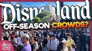 How Crowded is Disneyland in the Off-Season? | January 2024 Wait Times