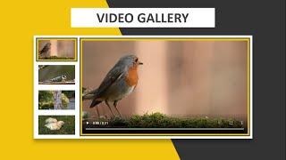 How To Make Video Gallery Using HTML CSS & JQUERY || Step By Step