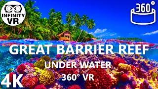 Australia Great Barrier Coral Reef Underwater Paradise in 360 VR - Virtual Reality (4K Stereoscopic)