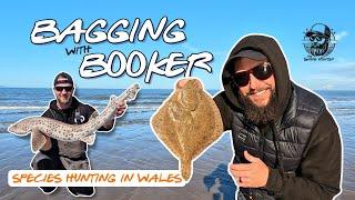 Bagging With Booker Fishing Wales. Species Hunting.  Probably Our Best Session To Date!