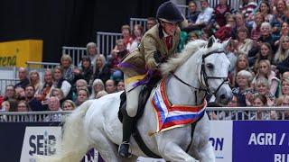 When I Won at HOYS!