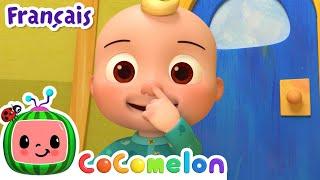 Tête épaules genoux pieds | CoComelon en Français | Chansons pour bébés