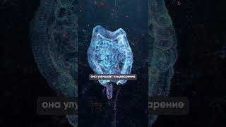 Эта точка поможет от ВСЕХ болезней! #здоровье #долголетие #оздоровление