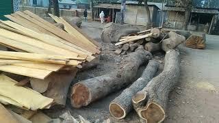 The best wood, super red Meranti wood, is one of the best woods in Kalimantan