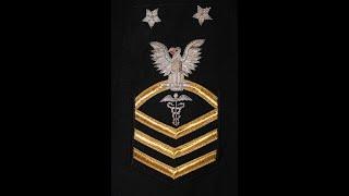 Navy Rating Badges