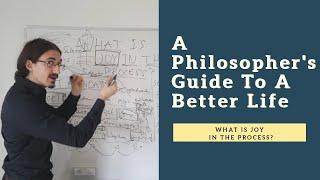 What Does Joy in the Process Mean? (A Philosopher's Guide to a Better Life # 4)