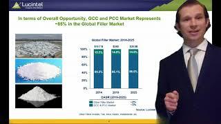 Strategic Growth Opportunities in the in the Ground and Precipitated Calcium Carbonate Market