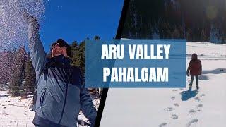 Aru valley Pahalgam in winter | Best place to visit in Kashmir | Kashmir trip 1