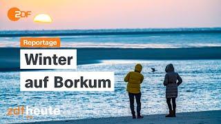 Nordsee pur: Wenn das echte Leben nach Borkum zurückkehrt | ZDF.reportage