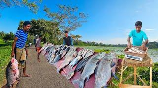 Amazing! Rural Elegant Village's Biggest Street Fishmarket in Sri Lanka