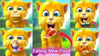 Talking Ginger Eating New Food  | talking ginger funny videos | talking ginger cat |