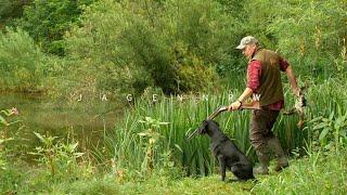 Der Weg zum Jagdhund – Hundeausbildung mit Patrick Rath – die ersten Minuten Hunt on Demand Trailer