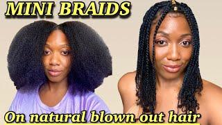 Mini Braids | Simple Protective Style on Natural hair