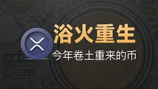 12-26[项目]浴火重生！2024卷土重来的币