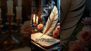 🪶 СУТЬ ВЕЩЕЙ | М-сИс