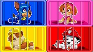 Paw Patrol The Mighty Movie | All Pups Are Trapped In Prison?! - Very Funny Life Story | Rainbow 3