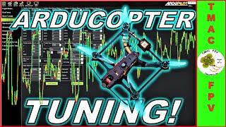Arducopter Tuning (AUTOTUNE, PIDs & FILTERS, FLIGHT TESTS!)