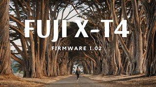 Fuji XT4 | Firmware 1.02 | Ambient Cinematic Roadtrip | Point Reyes, CA | 4K