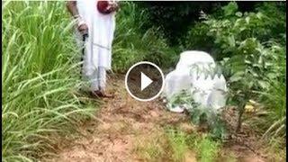 LIVE!!! Nnamdi Kanu at Adama Nri Forest Praying & THIS Happened