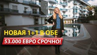 Недорогая квартира в Алании / Район Оба / Недвилжимость в Турции