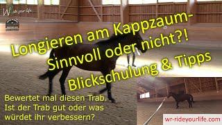 F148 Ist Longieren am Kappzaum sinnvoll? Fehler, Sinn, Blickschulung und Tipps zum Longieren