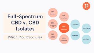 Full spectrum vs CBD isolates | Which Type of CBD is Better?