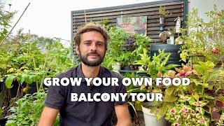 Grow your own food - Tour of my balcony veggie garden