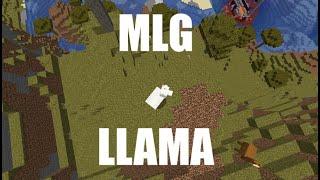 Minecraft Speedrunner VS 5 Hunters be like...