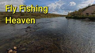 Fly Fishing and Tarp Camping in Swedish Lapland