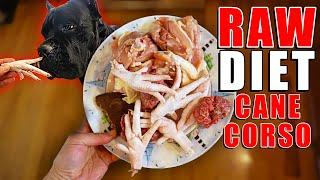 Cane Corso's RAW Diet