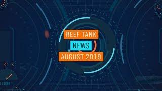 Reef News August 2019