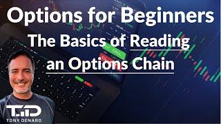 How to read an Options Chain - Options For Beginners