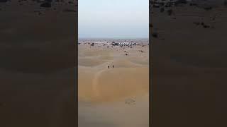 thar desert sand dunes #shorts #india #travel #drone