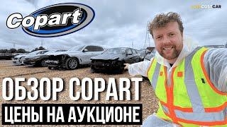 Обзор Битков на Аукционе | Цены на Авто в США 2025 | Честный Обзор | Доставка по всему Миру